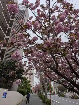 桜神宮(東京都)