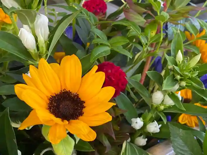 東海市熊野神社の手水舎