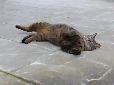 正覚寺(福井県)