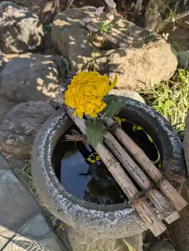 龍泉院(東京都)