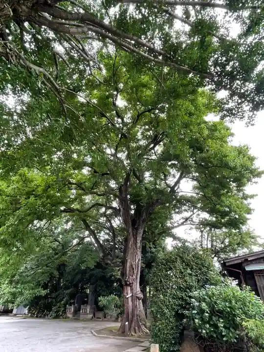 最勝寺教学院の自然
