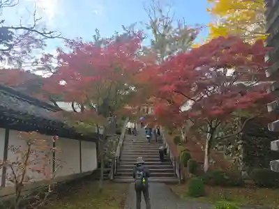 西教寺(滋賀県)