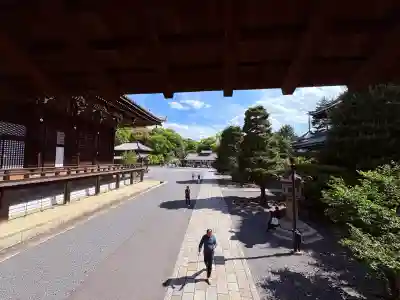 知恩院の{uncategorized: "未分類", other: "その他", undefined: "問題あり", building: "その他建物", grave: "お墓", sacred_gate: "鳥居", guardian: "狛犬", statue: "像", buddha: "仏像", history: "歴史", nature: "自然", garden: "庭園", animal: "動物", pagoda: "塔", temizu: "手水舎", mountain_gate: "山門・神門", sanctuary: "本殿・本堂", subordinate: "末社・摂社", art: "芸術", scenery: "景色", jizo: "地蔵", ema: "絵馬", goshuin: "御朱印", omikuji: "おみくじ", items: "授与品その他", amulet: "お守り", goshuincho: "御朱印帳", eats: "食事", festival: "お祭り", votive_dance: "神楽", shichigosan: "七五三参", wedding: "結婚式", experience: "体験その他", initially: "初詣", around: "周辺", anti_infection: "感染症対策"}