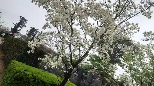 行福寺(愛知県)
