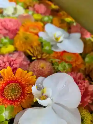 富岡八幡宮(東京都)