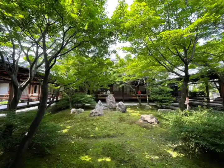 建仁寺(建仁禅寺)の庭園