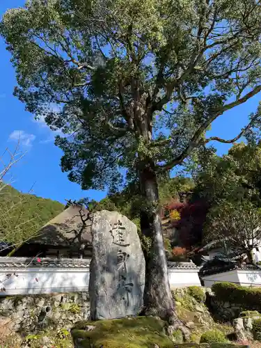 達身寺(兵庫県)