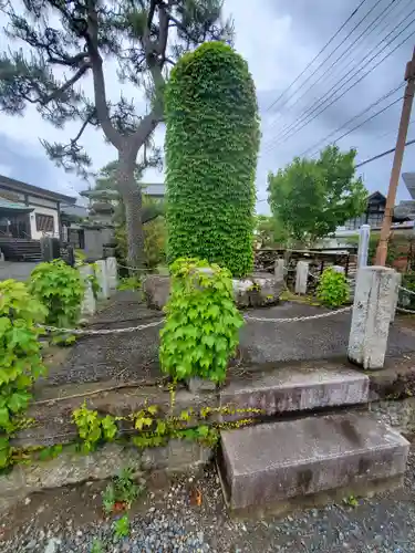高蔵寺(茨城県)