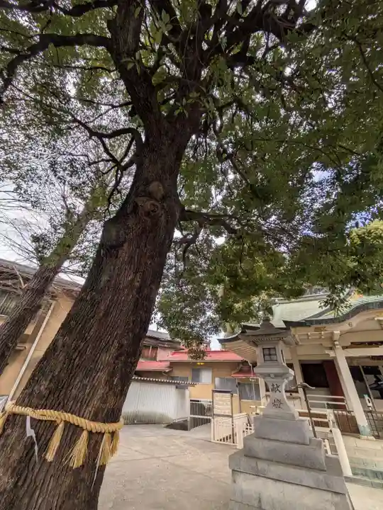 荻窪白山神社(東京都)