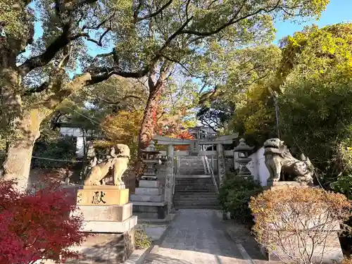 春日神社の狛犬