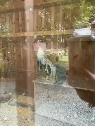 満光寺(愛知県)