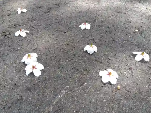 春日神社(福井県)