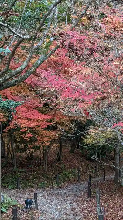 醍醐寺(京都府)