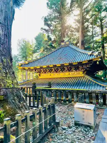 輪王寺薬師堂（本地堂）の{uncategorized: "未分類", other: "その他", undefined: "問題あり", building: "その他建物", grave: "お墓", sacred_gate: "鳥居", guardian: "狛犬", statue: "像", buddha: "仏像", history: "歴史", nature: "自然", garden: "庭園", animal: "動物", pagoda: "塔", temizu: "手水舎", mountain_gate: "山門・神門", sanctuary: "本殿・本堂", subordinate: "末社・摂社", art: "芸術", scenery: "景色", jizo: "地蔵", ema: "絵馬", goshuin: "御朱印", omikuji: "おみくじ", items: "授与品その他", amulet: "お守り", goshuincho: "御朱印帳", eats: "食事", festival: "お祭り", votive_dance: "神楽", shichigosan: "七五三参", wedding: "結婚式", experience: "体験その他", initially: "初詣", around: "周辺", anti_infection: "感染症対策"}