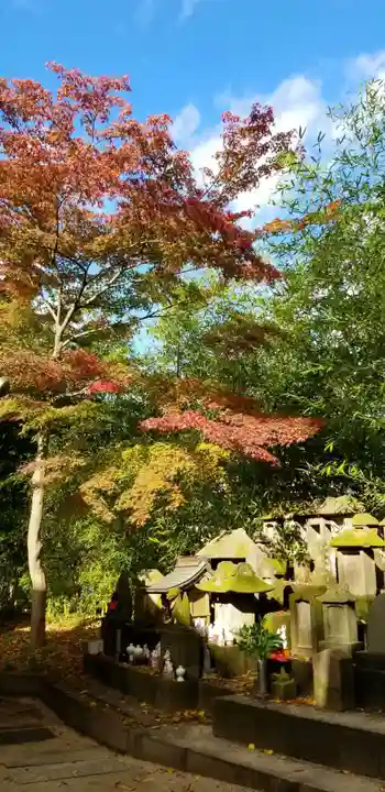 松戸神社(千葉県)