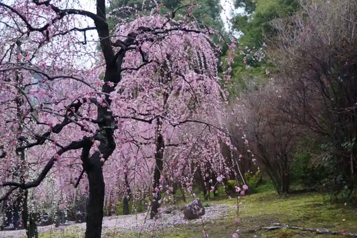城南宮(京都府)