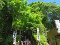 杉本寺のその他建物
