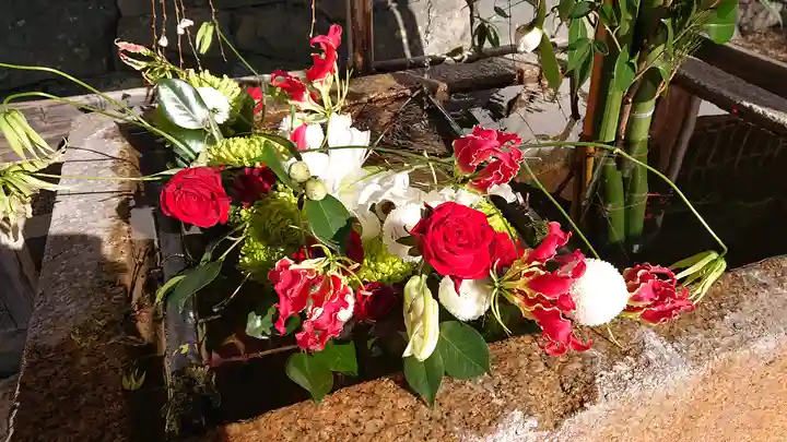 興聖寺(興聖寶林禅寺)(京都府)