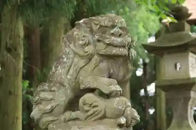 菅布禰神社の狛犬