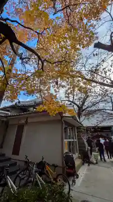 墨染寺（桜寺）(京都府)