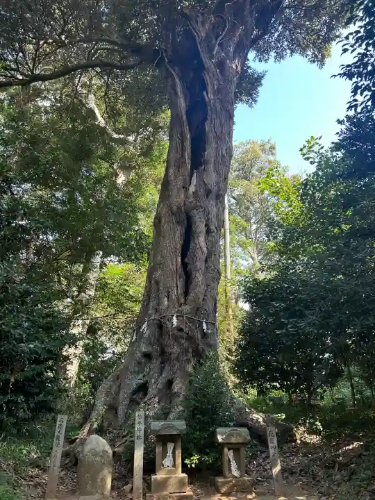 雷神社(千葉県)