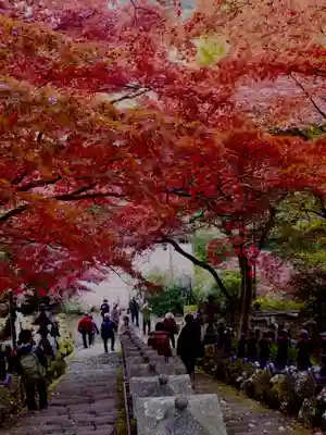 大山寺(神奈川県)