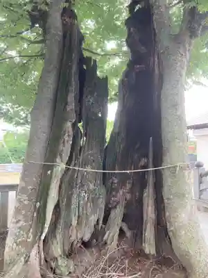 真田神社(神奈川県)