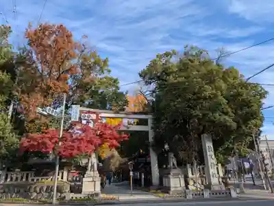 秩父神社の鳥居