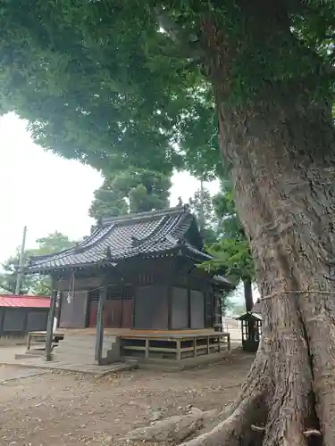 安國御名方神社(長野県)
