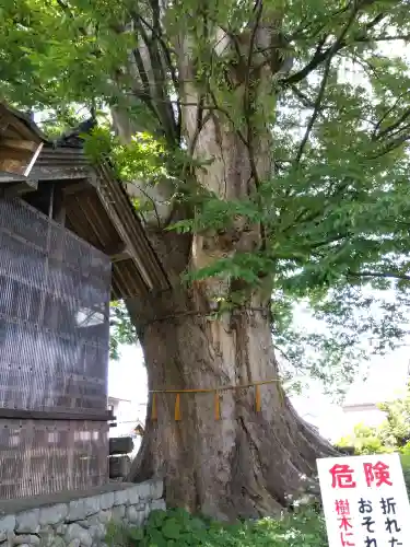 日吉神社の{uncategorized: "未分類", other: "その他", undefined: "問題あり", building: "その他建物", grave: "お墓", sacred_gate: "鳥居", guardian: "狛犬", statue: "像", buddha: "仏像", history: "歴史", nature: "自然", garden: "庭園", animal: "動物", pagoda: "塔", temizu: "手水舎", mountain_gate: "山門・神門", sanctuary: "本殿・本堂", subordinate: "末社・摂社", art: "芸術", scenery: "景色", jizo: "地蔵", ema: "絵馬", goshuin: "御朱印", omikuji: "おみくじ", items: "授与品その他", amulet: "お守り", goshuincho: "御朱印帳", eats: "食事", festival: "お祭り", votive_dance: "神楽", shichigosan: "七五三参", wedding: "結婚式", experience: "体験その他", initially: "初詣", around: "周辺", anti_infection: "感染症対策"}