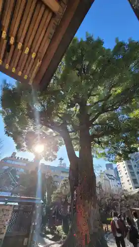 湯島天満宮のその他建物