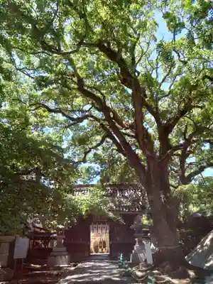 鳥飼八幡宮(福岡県)