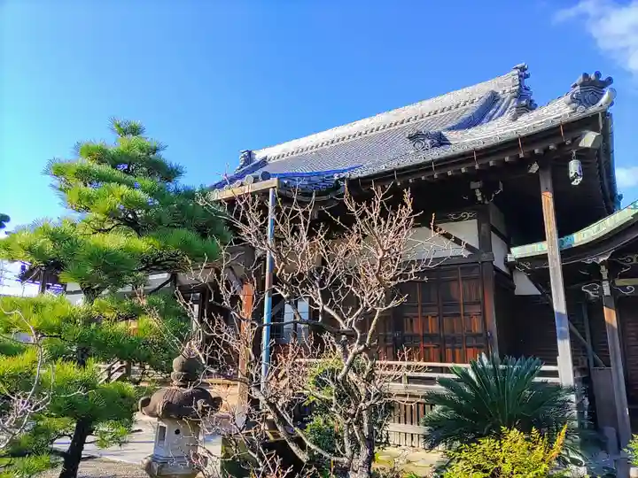浄信寺の本殿・本堂