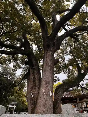 冠纓神社(香川県)