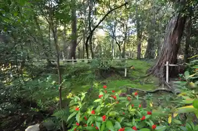 秋篠寺(奈良県)