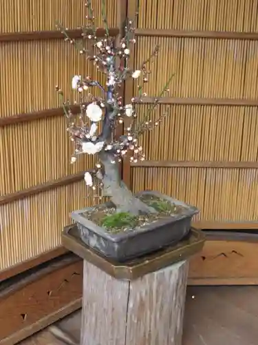 菅原天満宮（菅原神社）の自然