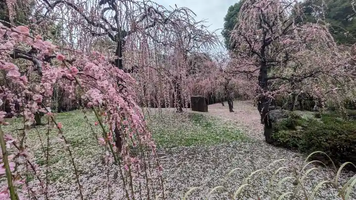 城南宮(京都府)