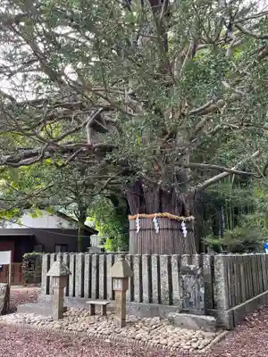 熊野速玉大社(和歌山県)