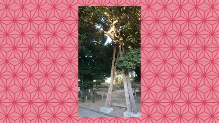 九重神社(埼玉県)