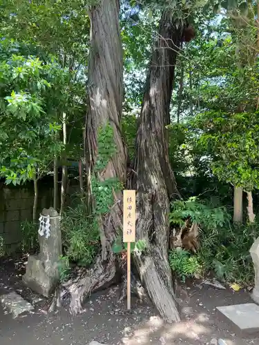星宮神社(栃木県)