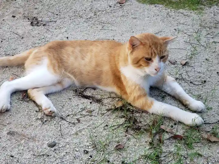 高祖神社(福岡県)