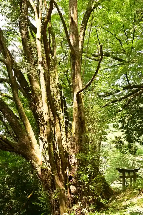 三島神社(愛媛県)