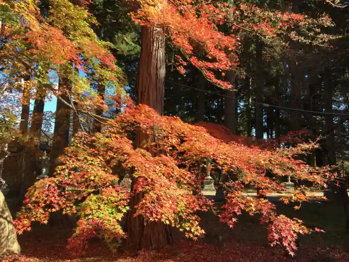 冨士御室浅間神社の自然