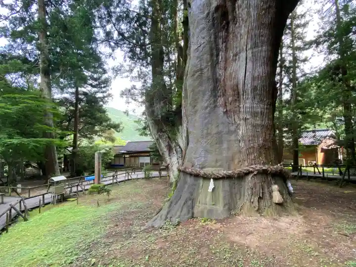 八坂神社(高知県)