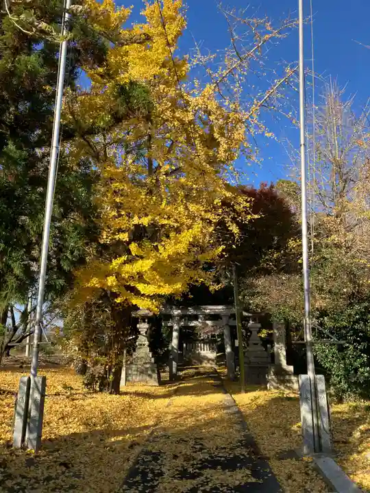 宇太志神社(愛知県)