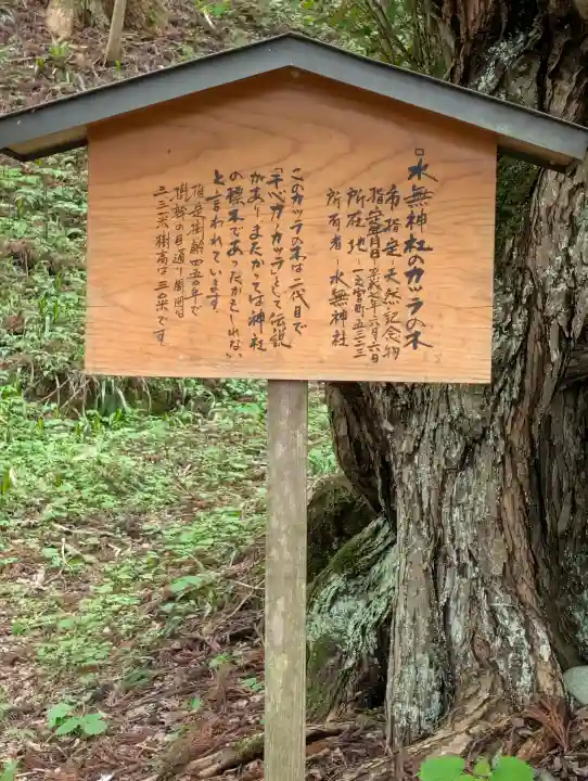 飛驒一宮水無神社(岐阜県)