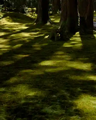 平泉寺白山神社(福井県)