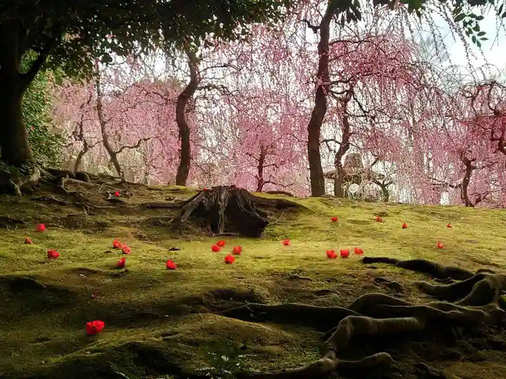 城南宮(京都府)