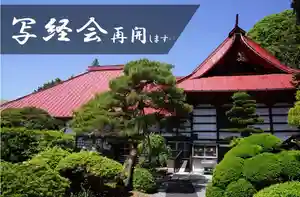 川龍寺の本殿・本堂(2020年07月02日(木) 09時08分48秒投稿)