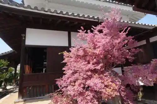 國前寺(広島県)